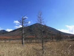 WS PAN View of Senjogahara at National Park / Nikko, Tochigi Prefecture, Japan Stock Footage