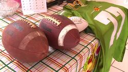 VOICED : American Football in Brazil has high hopes for WC2014 aftermath News Clip