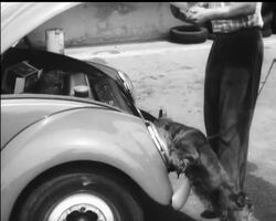 COFFEE HOUND News Clip