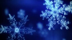 Snow crystals falling calmly - loopable. Stock Footage