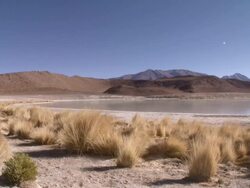 WS View of Laguna salada of the south Bolivian desert / Uyuni , Bolivia Stock Footage