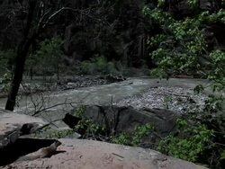  MS Squirrel sitting on rock nearby river / Just outside Zion National Park, Utah, United States  Stock Footage