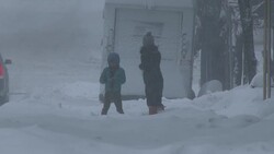 Historic Blizzard, Snowstorm, Whiteout Conditions - Mother & Child Stock Footage