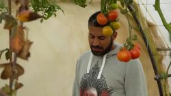 Fish farmers aim to boost Jordan's aquaponics industry News Clip