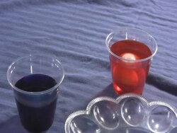 easter egg dyeing ntsc version Stock Footage