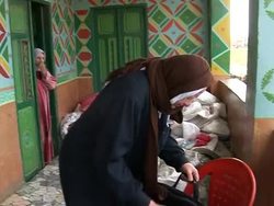 CLEAN: Egyptian cotton farmers drop their prized crop News Clip