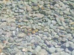 HD Stone in water Stock Footage