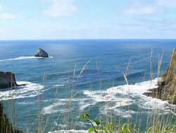 Oregon coast Stock Footage