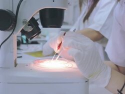 Medical students using a microscope to see bacteria,Dolly shot Stock Footage