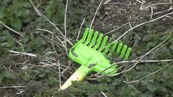 CLEAN : Five children under 10 die in France News Clip