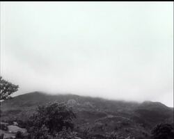 HOLIDAY VARIETIES News Clip