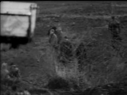 WAGON RALLY News Clip