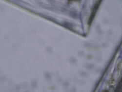 Salt crystals under microscope Stock Footage