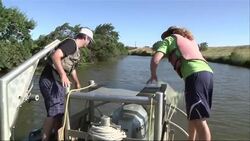 California drought could doom endangered fish News Clip