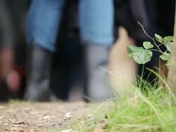 Eco-friendly festival? Stock Footage
