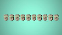 What Happened to the World's Greatest Ape? Instructional Video