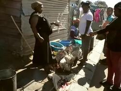 Concern For Nelson Mandela Continues As He Battles A Lung Infection Stock Footage