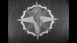 Children racing at Jones Beach on Long Island, NY News Clip