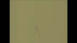 GS 09 09 81 PREVIEW OF NEWLY DISCOVERED ROMAN GRAVE, C.69BC Instructional Video