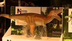 Natural History Museum Gift Shop News Clip