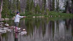 4k Slow Motion Fly Fishing inï¿½Mountain Lake With Reflections Stock Footage