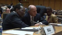 CLEAN : French FM says EU contribution News Clip