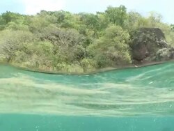MS Half rocks and rocky reef / Caribbean, Dominica Stock Footage