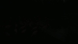 Flamingoes at Nashville zoo react to solar eclipse Instructional Video