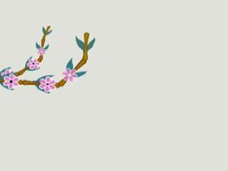 Looping Plant Growth Stock Footage