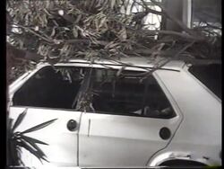 Zaire/Congo - Students protest against Mobutu News Clip