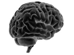 Analysis of human brain - Grey Stock Footage