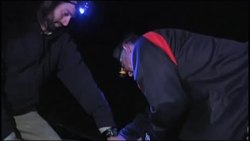 Crocodiles thriving in nuclear cooling canals News Clip