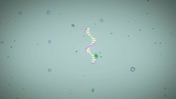 Baby gene therapy study offers hope for fatal muscle disease ++Animation voiced++ News Clip