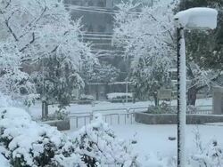 Snow covered park. Stock Footage