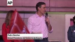 Simpatizantes celebran la victoria del PSOE en España  News Clip