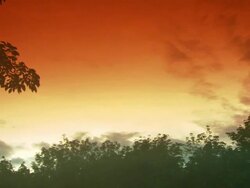 Medium Long Shot pan-right-Sunlight reflects off clouds above a forest clearing. / Guatemala Stock Footage