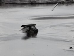 Oil spill on Gulf Stock Footage