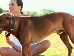 Happy young woman sitting with pet dog in a park Stock Footage