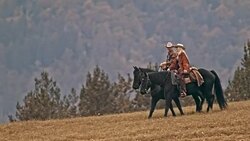 TS Cowboy and cowgirl talking while riding their horses downhill Stock Footage
