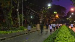 panning TL: people love their healthy and like to run Stock Footage