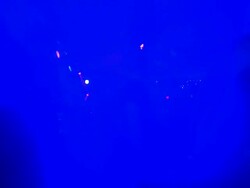 Blue Club Dance Stock Footage