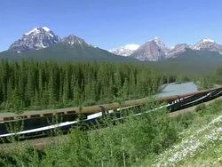 WS Rocky Mountaineer train passing near Bow River at Morants Curve / Banff Nationalpark, Alberta, Canada Stock Footage