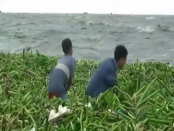 Boys retrieving household materials from choppy waters; aftermath of typhoon Mirinae, Philippines, 2009 Stock Footage