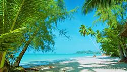 the spice island Stock Footage