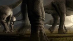 A herd of Sauroposeidon dinosaurs walk across a wide plain: an animation depicts the skeleton anatomy of a Sauroposeidon. Stock Footage