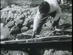 Greenland expedition, 1934, by French explorers - eskimo cuts up seal meat, makes weapons, dresses for hunting in canoe Stock Footage