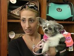 Pampered pooches are treated to glitzy makeovers in Hollywood. News Clip