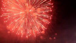 Firework Stock Footage