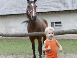 HD: Little Boy With A Horse Stock Footage