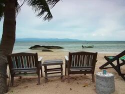 Sunbeds on the beach,Crane shot Stock Footage